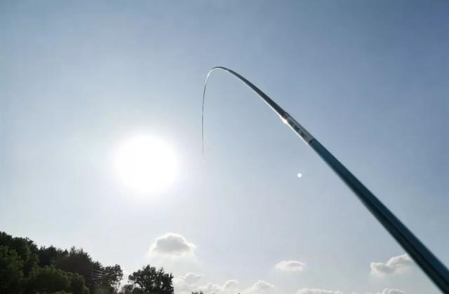 饵料|钓鱼怎么会“上瘾”的？只怪这4点诱惑太大，真叫人欲罢不能