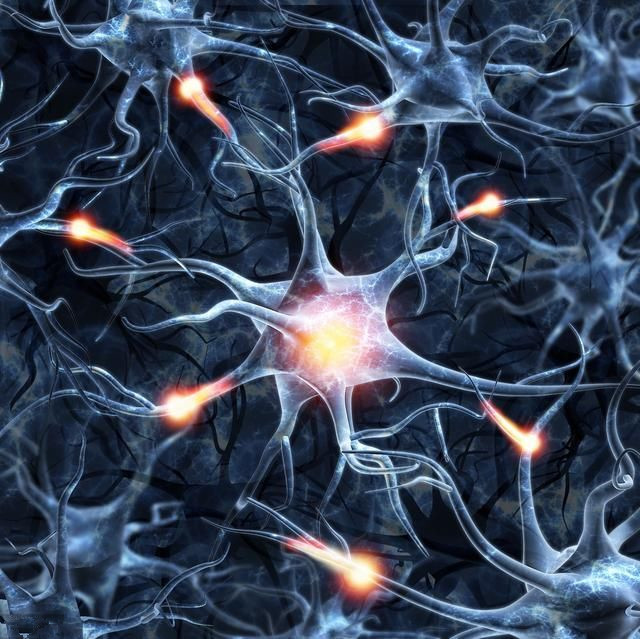 脑神经 人类心灵根本不存在?脑神经科学家感到一个头两个大!