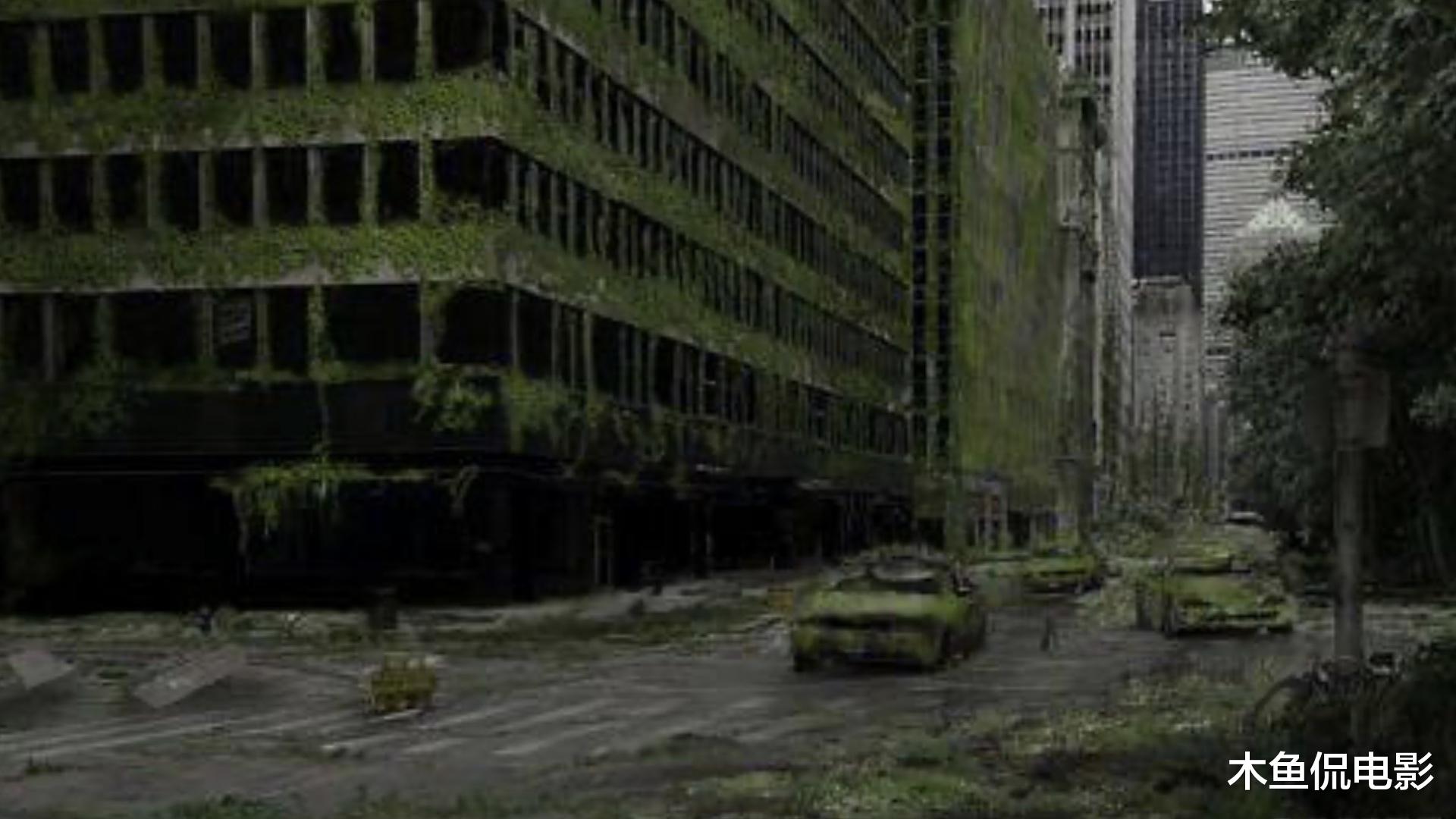 鲨鱼 倘若75亿人全部消失，地球会变成什么样？纪录片