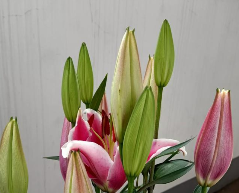 人生自由娱乐 本人女，目前有一份接单上门的工作要不要做？