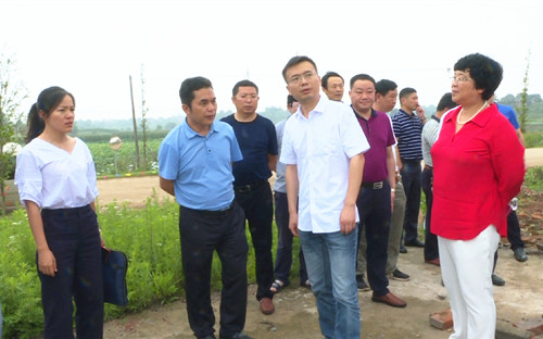 |在乡镇工作应该注意些什么？