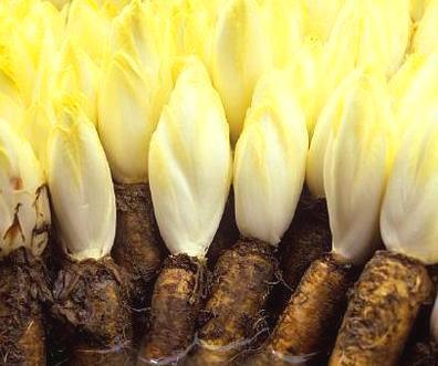 白发|痛风能喝咖啡吗？专家：3物是痛风的“克星”，尿酸高不妨多吃