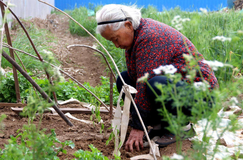 |90岁老人养骨经验:骨骼的养护比治疗更为重要,常做3事,骨密度蹭蹭涨