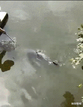 高铁 在高铁上看见一漂亮美女, 是不是像哪个女明星,一时记不起来了