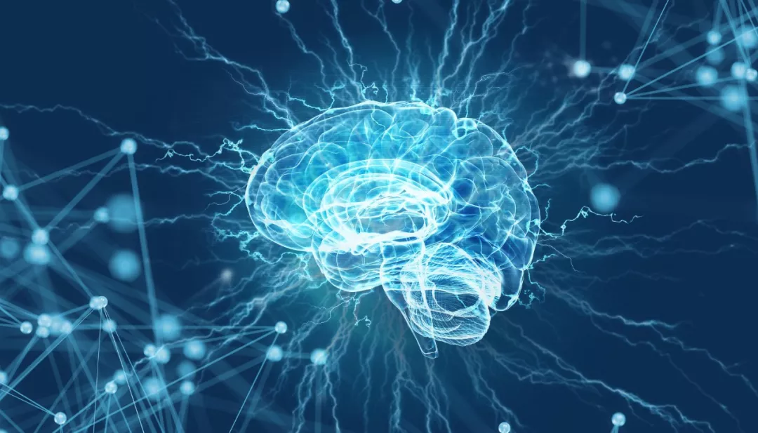 疾病|身体是“情绪的地图”，教导我们如何与世界相处