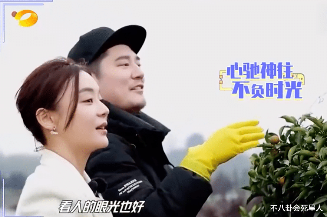 钱枫|钱枫被曝强奸女嘉宾,《天天》曾撮合袁姗姗钱枫,袁姗姗满脸尴尬