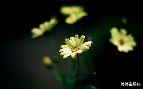 射手座|6月旧情复燃的3星座，再一次牵起彼此的手，让爱情重新起航