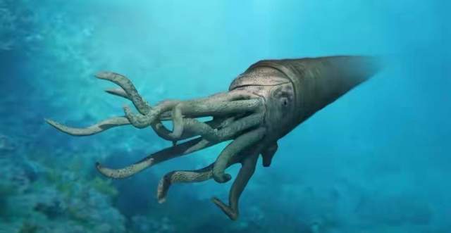 章鱼 来自星星的章鱼?科学家都无法解释的神奇生物