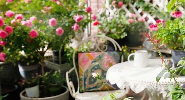 为了建花园，买了个带40㎡露台的顶楼房，入住四年如今美成了画