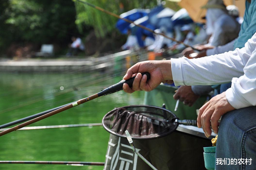 安徽|盛夏钓鱼没口怎么办？只需这几招，鱼儿排队进窝，轻松爆护