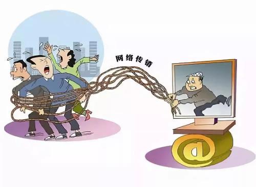 太湖一女子加入“动物世界”网络传销组织 非法获利14万元被判刑