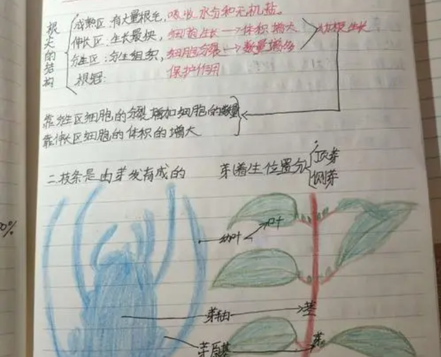 贵州大学科技学院|初中生历史笔记走红，无聊的知识变得生动有趣，老师忍不住夸赞