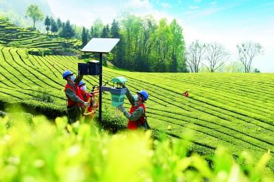 光明網視頻 定格山林中的電力人