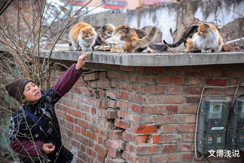 文博浅说|女人爱上偷她内裤的大爷，55岁的女人说：他真是重口味的人！