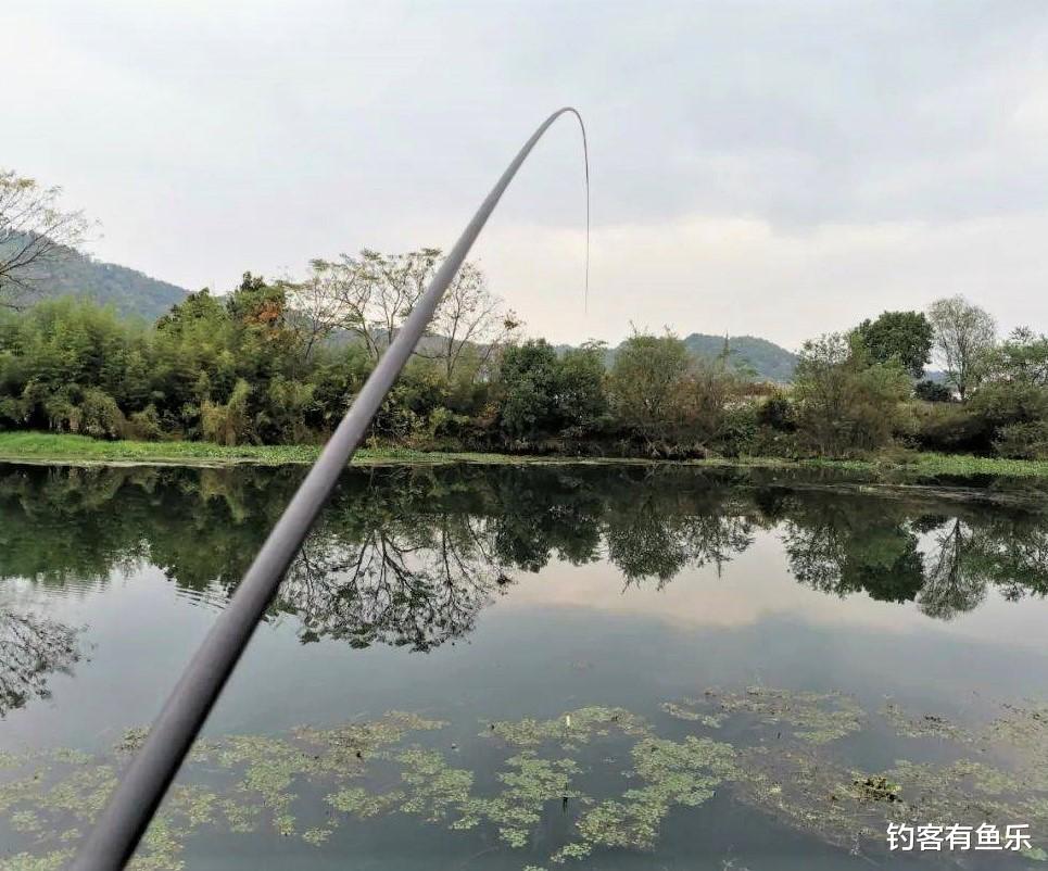 饵料|冬季怎样钓鲫鱼？用长竿短线钓草洞，上钩的大多是大鲫鱼