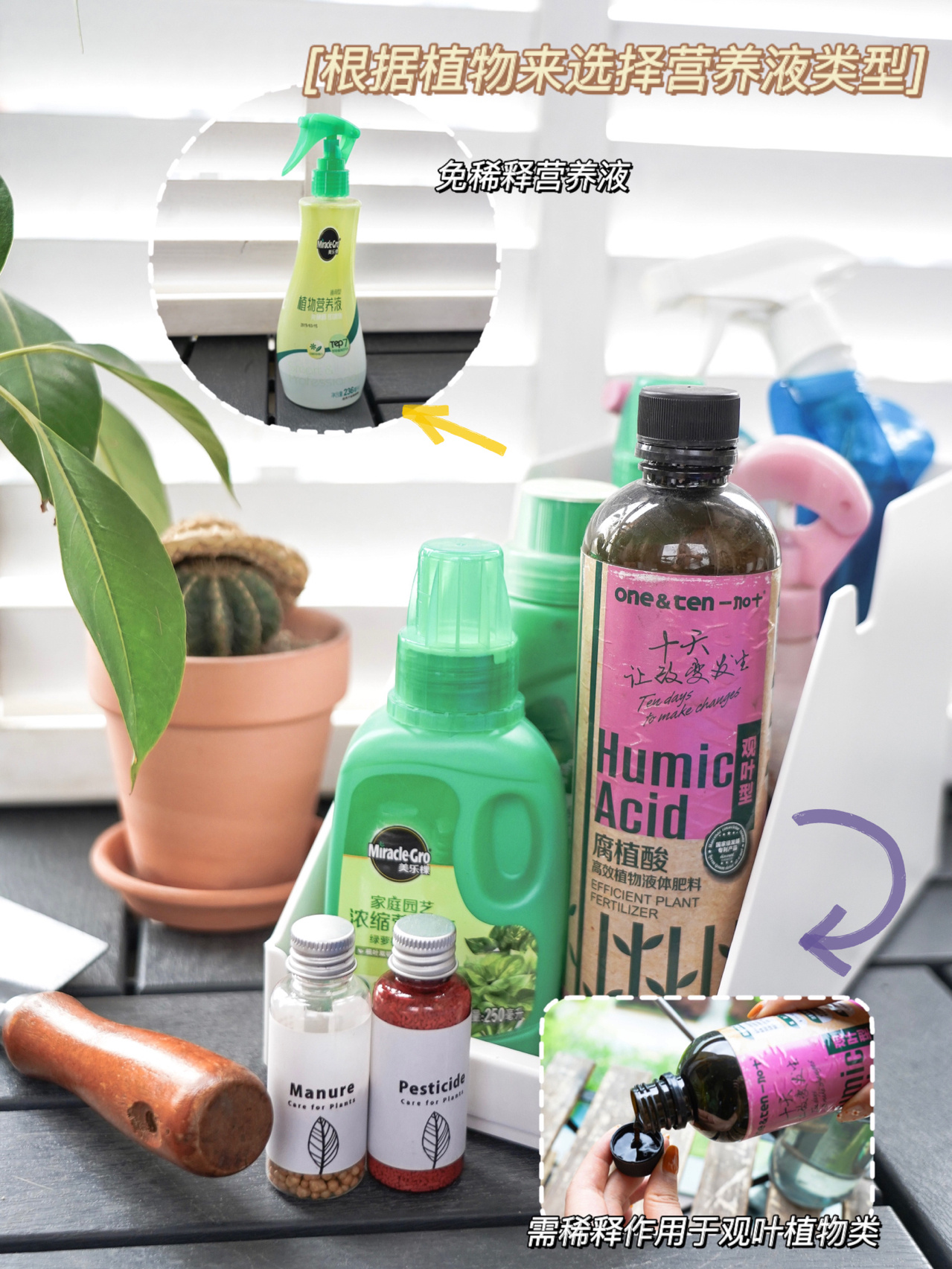 5㎡小阳台,DIY改造治愈系休闲小花园,每天宅在家,不想出门了