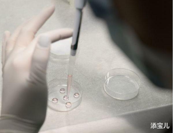 添宝儿|试管婴儿过程中监测卵泡有多关键?