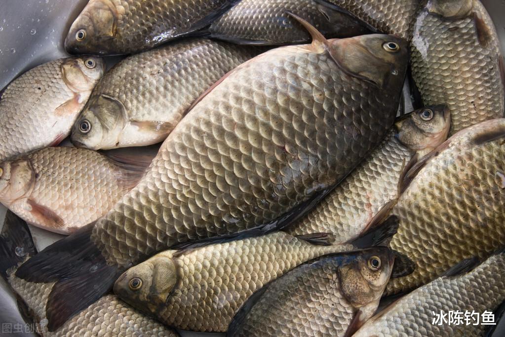 二手房|天天说“资源不好”，不如提升钓技钓法，这才是提升渔获的关键！