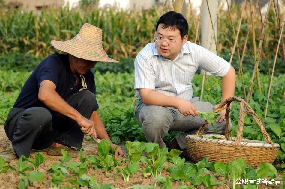 护士|三种“临时工”外人都说好，待遇不输公务员，只有自己知道有多难