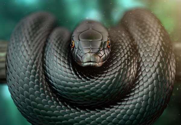 眼镜王蛇 黑曼巴蛇和眼镜王蛇，谁是毒蛇之王？