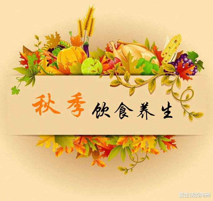 爱生活的陶哥|秋季养生，吃喝拉睡，你做对了吗？有这些习惯，可能很难健康长寿