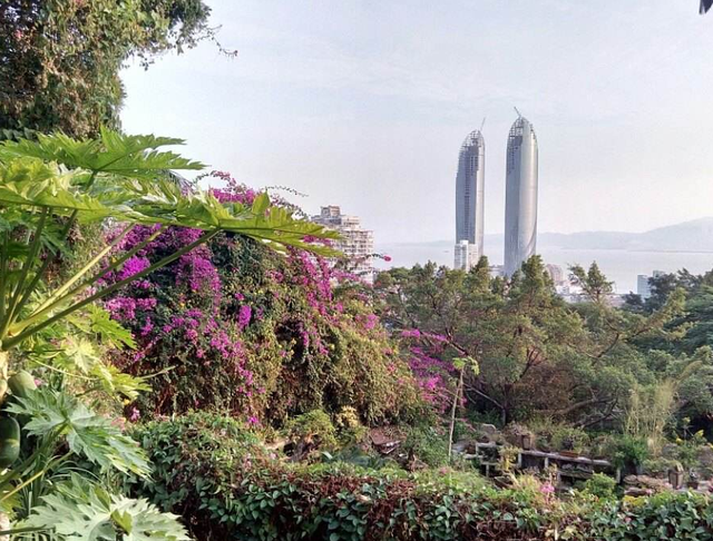 古镇 藏在厦门市区的公园，风景不输鼓浪屿，全天门票免费，却少有人知