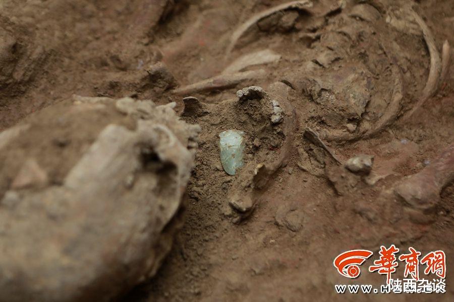 陕西杂谈 满满一仓粮！泾阳大堡子墓地墓主叫“葽奢” 是“小康之家”