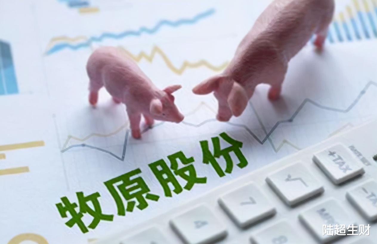 猪肉|猪肉大跌国家出手调控，市值腰斩的牧原股份是否会迎来投资机会