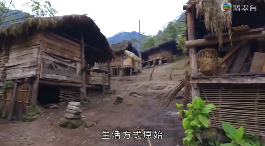 陈贝儿|她刷新香港艺人上限，连央视都在捧？