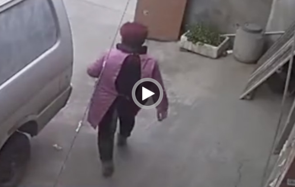 天天读报会 鹅掌、猪肺、鱼，女子去别家院子“置办”年货被抓