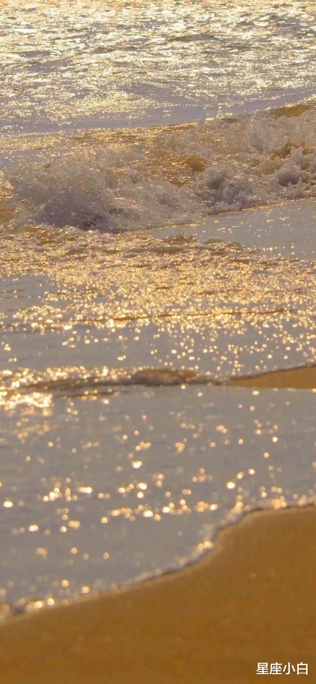 星座小白 勤劳节俭，精明能干的三大星座女