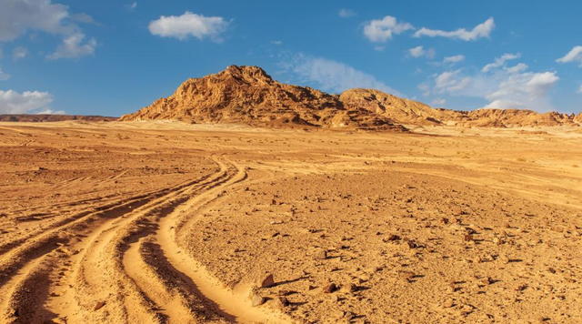 古镇 外国人:为何中国总有奇迹发生?养个鸡居然能把沙漠变“绿”