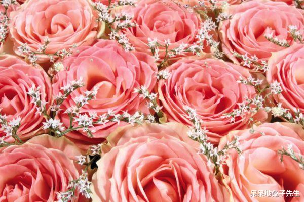 运势|12月10日开始,运势翻转的生肖,好运接连不断,财运连连,升职加薪