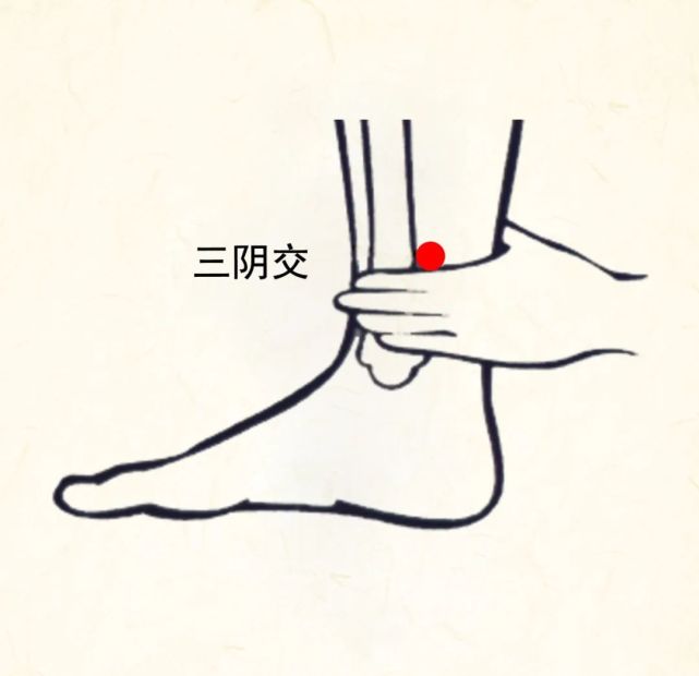 谷哥艾灸|教你如何区分阴虚和阳虚,一学就会!一调就好!