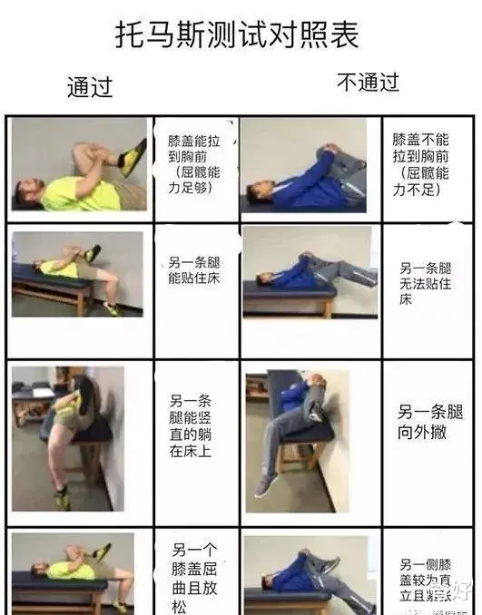 臀部|唤醒和激活“它”，让你跟腰疼说拜拜