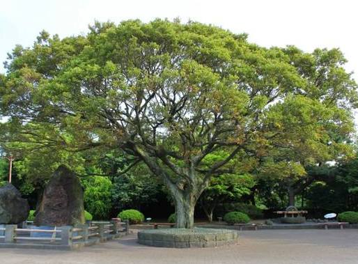 自家门口出现这几个情况,要多加留神了,预兆家里可能要破财