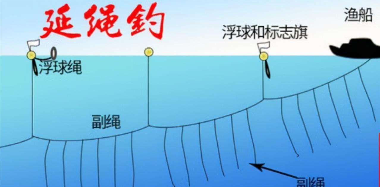 湖南|湖南最严“禁渔令”来了！1月1日实施，严重违反或将获刑