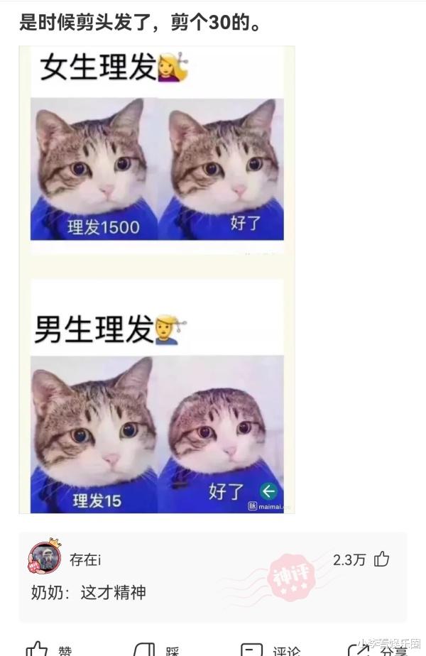 神回复:“为什么白酒不能冰镇着喝?”网友:就是有点费人!