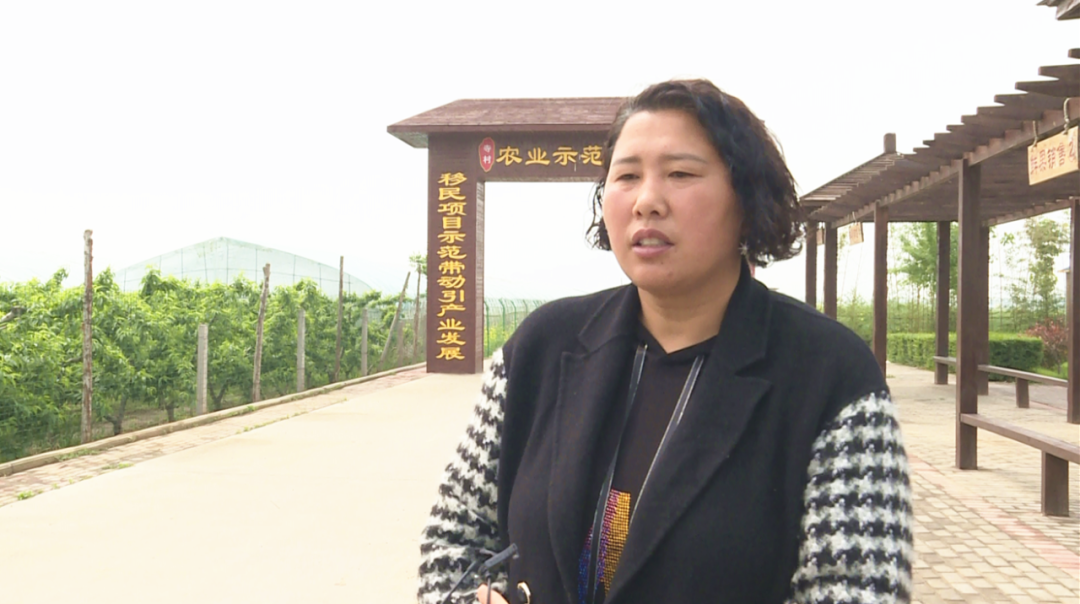 孟州广播电视台 孟州：铺就“四好农村路”，擘画乡村振兴图