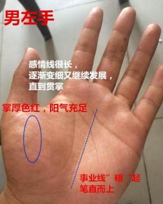 青玄命理|这种手相都是勤俭持家的一把好手，钱财发面不会过度，相当扎实稳健