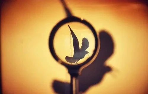 兰陵笑笑侠 琴棋书画不等于素质教育,好的教育必然是摒弃“功利”的爱与善良