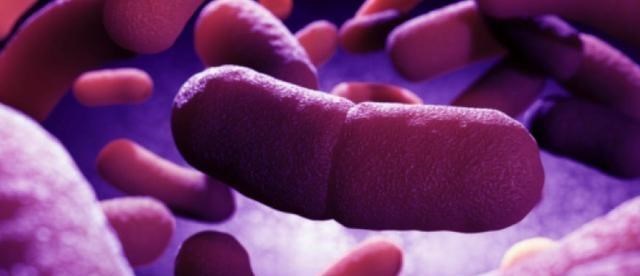 科学家 为了永生,科学家为自己注射350万年前的细菌,现在怎样了?