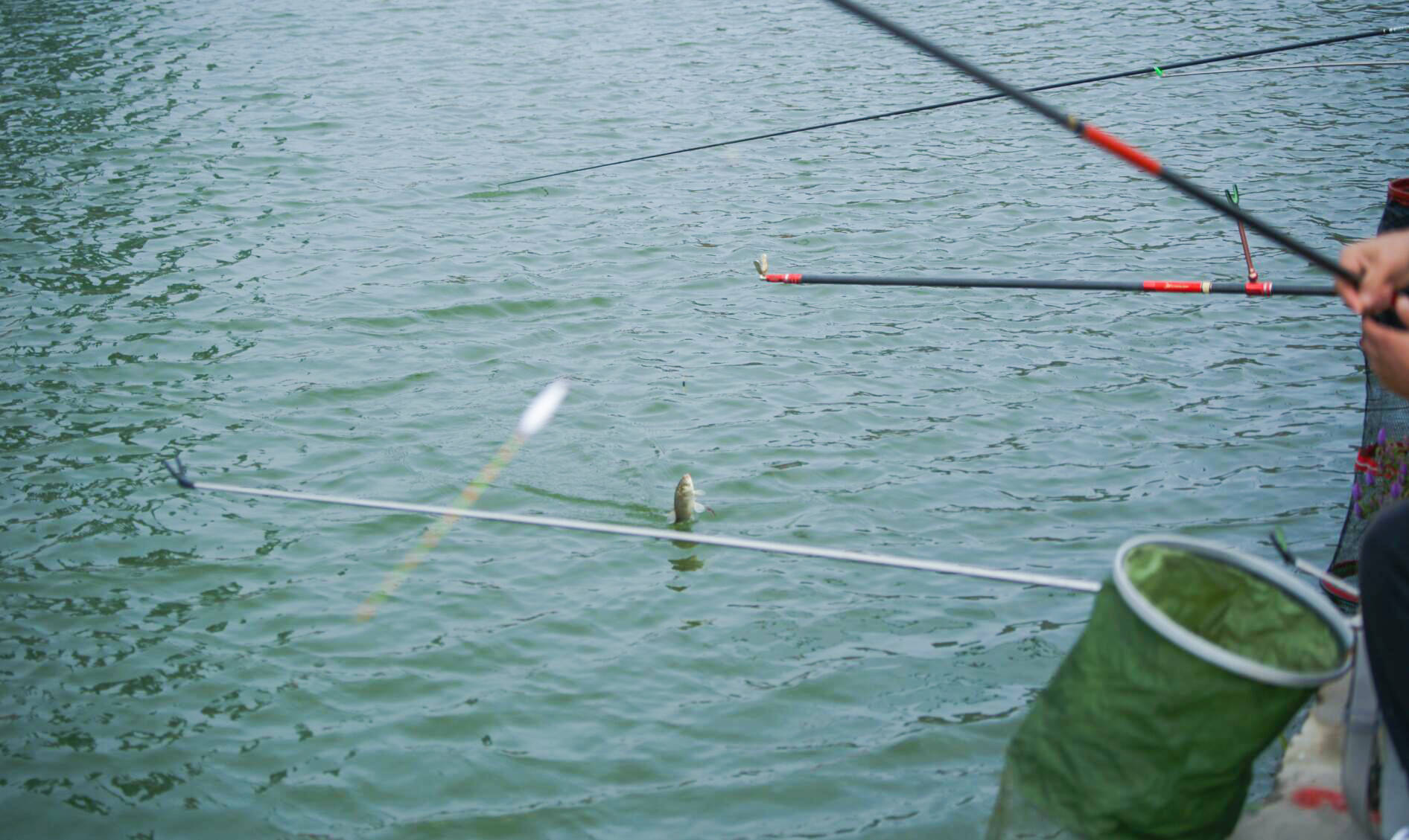 鸡公山|2021年鸡公山桃花寨第二届钓鱼大赛完美落幕（含视频）