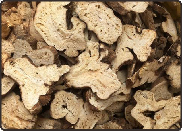 胃酸|白术的功效与副作用