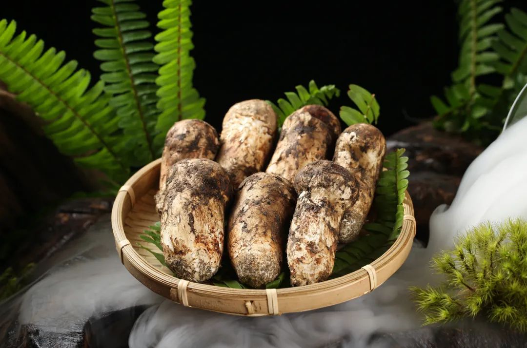 坚持生物多样性发展,以自然之道,养万物之生