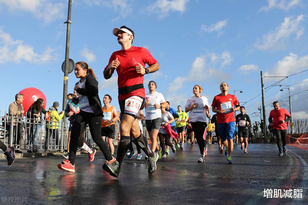 |怎么提高自身的代谢水平，促进身体燃脂？4个方法帮到你