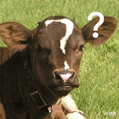 文玩|不管你玩不玩文玩这个菩提子品类必须尝试一下的！绝对物超所值！