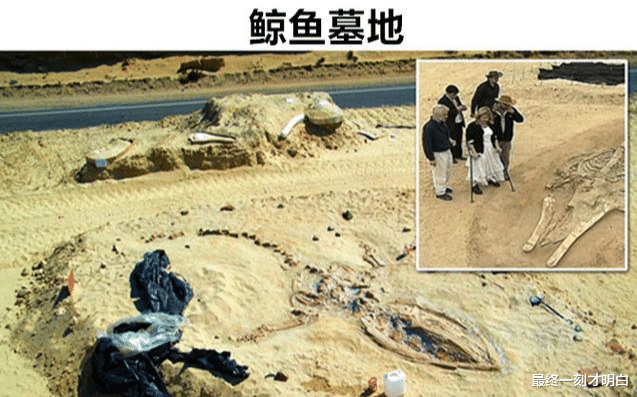 被人们在沙漠中意外找到的7个极其神秘的东西