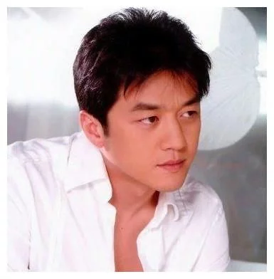 王菲|李亚鹏扯下王菲多年“遮羞布”，谢霆锋想结婚，却怕她再来这一手