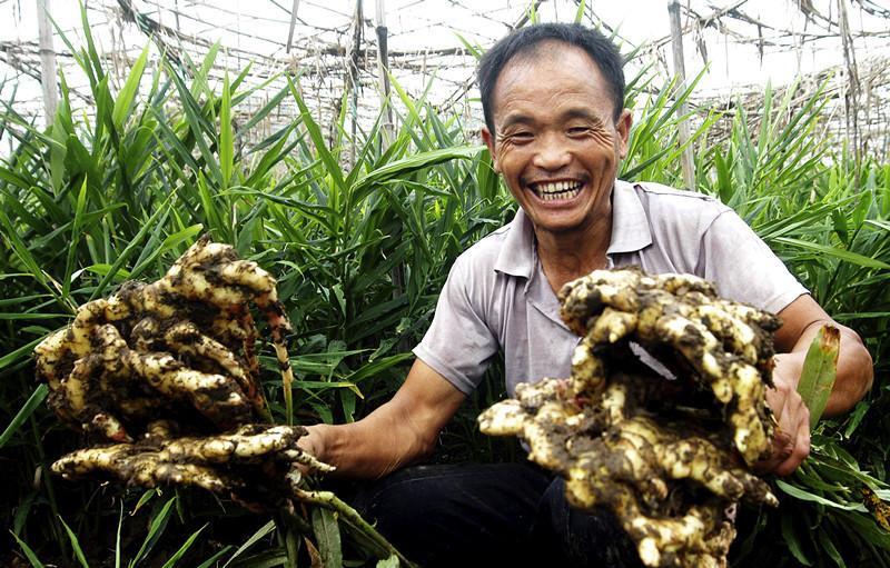 脾胃|三伏期间，阳气越来越弱，这3件事请你不要再做！